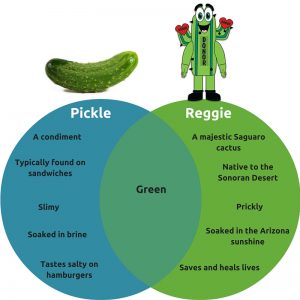Reggie is not a pickle.