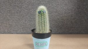 Reggie sprout 2